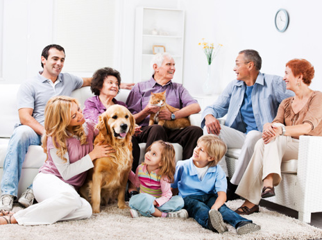 Family Psychology and Couples Psychology